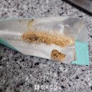 (주)엘비디스트리뷰션컴퍼니