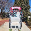 파주 놀거리 추천(말똥 도넛, 퍼스트 가든)