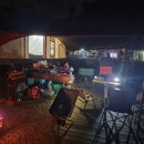 미산애견 이미지