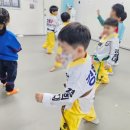 삼성체육도장 이미지