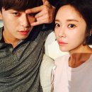 민트파파 이미지