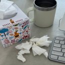 노즈픽션 내돈내산 한달 후기 (진짜 효능보는 먹는법까지!)