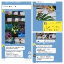 꿀단지북 이미지