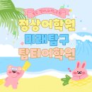 정상어학원 분당, 미래탐구 분당, 탑티어학원 분당 추천
