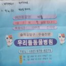 시마동물병원 네이버블로그
