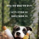살롱의정석 안산점