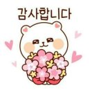 채송화글램핑 이미지