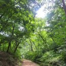 서명보효자각 이미지