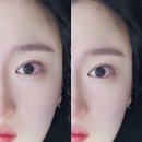 엘르몬트