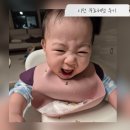 감와 | [이유식] 베베쿡 로하스밀 루솔 무료체험 후기이유식 입자감 질감 비교