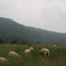 대관령한우타운 이미지