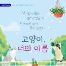 호명동물병원 이미지