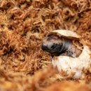 거북빌딩 이미지