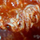 차할배족발보쌈 네이버블로그