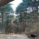 아틴 마루 이미지