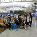 여행하는 나무 이미지