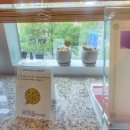 김은영유외과의원 이미지