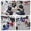 표선태권도장 이미지