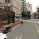 송이로14길 Daum카페