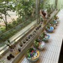 동화동주민센터 이미지