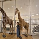 해비치리조트 | [제주/표선]제주가족여행 해비치리조트 후기