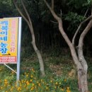 복이네 농장 이미지