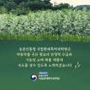 황해약초