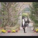 세라의하루