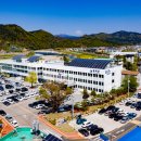 영덕군청청사 이미지