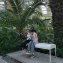 황금이식물원 이미지