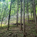 곡성군 산림과 이미지