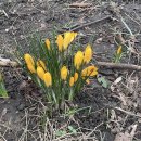 리치몬드 이미지