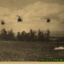 제일머리 이미지