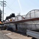 지번농장 이미지