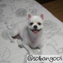 퍼니펫 동물병원 이미지