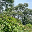 동광단지경로당 이미지