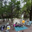 명당길 | 광양 배알도 별빛 야영장 캠핌장 휙 명당 그늘자리 배치도 추천