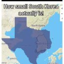 동공 지진난 미국인 이미지