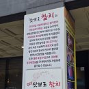 미보삿뽀로참치
