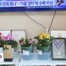 황금이삭 이미지