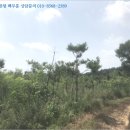 시묘보건진료소 이미지