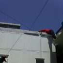 호야모터스 이미지