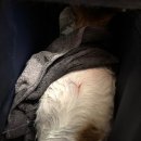 이촌역 3-1번 출구 이미지