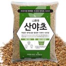 세경 쇼핑하우