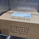 프롬더가든 - 9259 | 메종 마르지엘라 프롬 더 가든 후기 - 생일선물로 받은 그린 향수 (롬단이 생각남)