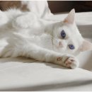 신천동물병원 이미지