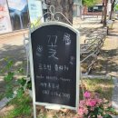 로즈민플라워