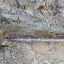 입암손세차장 이미지