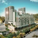 구로-구로-구로-369 이미지