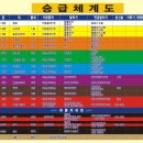 국가대표 엘리트 태권도장 이미지